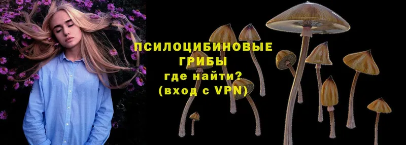 Псилоцибиновые грибы MAGIC MUSHROOMS Далматово